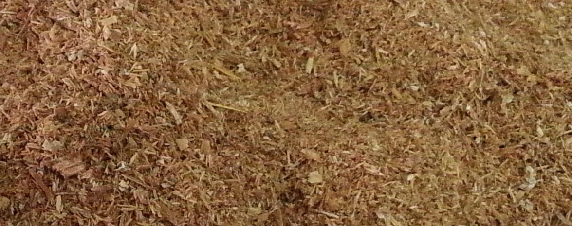Sawdust Biomass