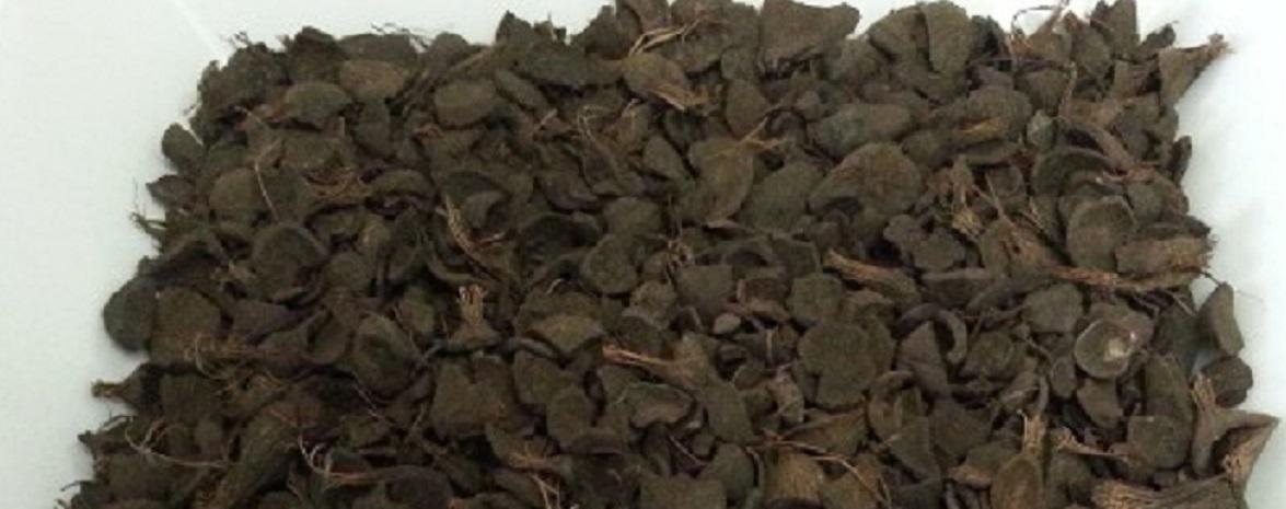 Palm Kernel Shell Biomass